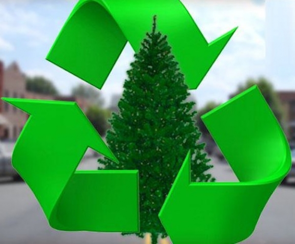 Χριστουγεννιάτικο δέντρο: 4 τρόποι ανακύκλωσης του μετά τις γιορτές