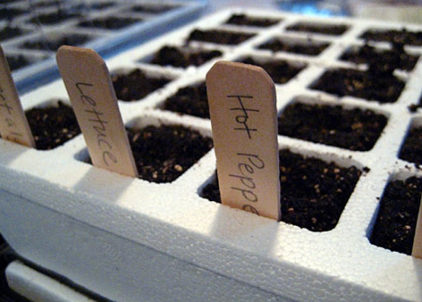 Πως θα σπείρετε σωστά σπόρους στον κήπο σας