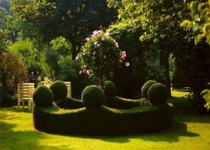 Κήπος με κεντρικό θέμα τη ροζ μαντεβίλλα